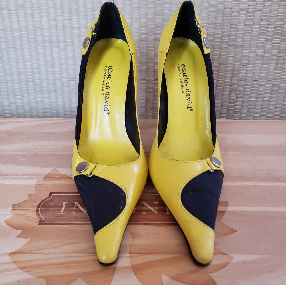 Charles David Designed by Nathalie M Pumps